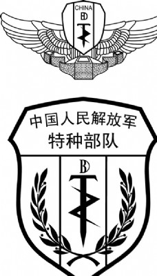 胸章标志中国人民解放军特种部队