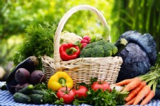 蔬菜饮食新鲜蔬菜篮子图片