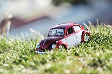 草地上的汽车玩具