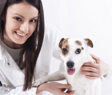 微笑的美女兽医与宠物狗图片
