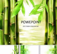 中国风设计绿竹PPT