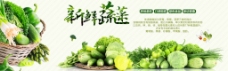 绿色蔬菜新鲜蔬菜海报