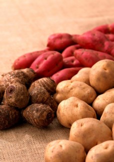 土豆红薯芋艿图片