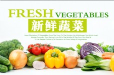 绿色蔬菜蔬菜展板