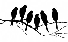 精美的矢量图设计树枝上的六只小鸟